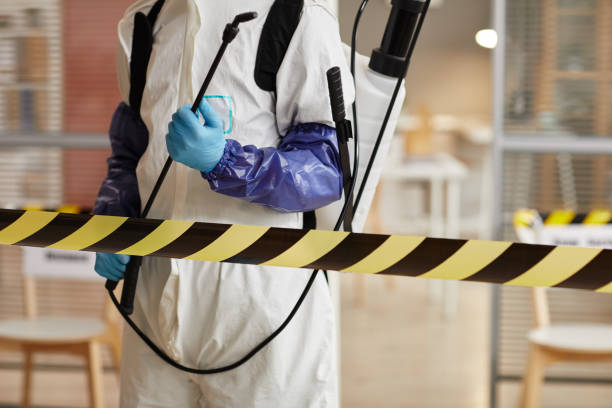 Professional Blood Cleanup technician working in Millville, UT